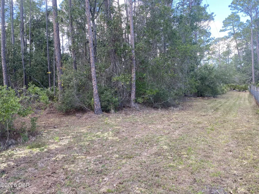 4205 Quail Ranch Road New Smyrna Beach, FL 32168
