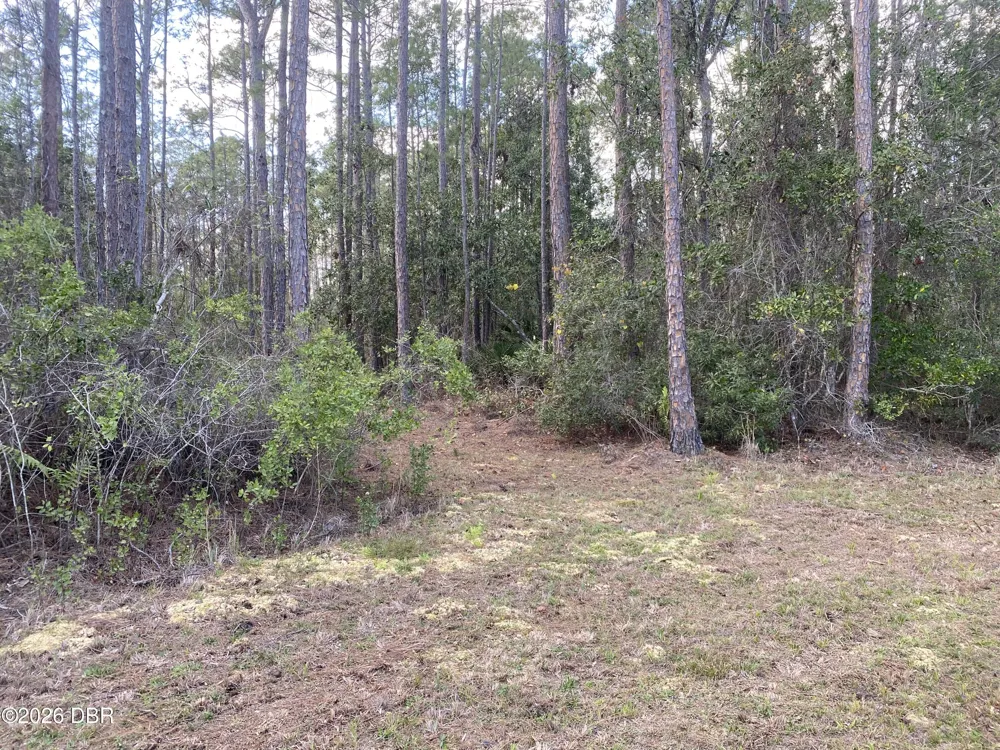 4205 Quail Ranch Road New Smyrna Beach, FL 32168