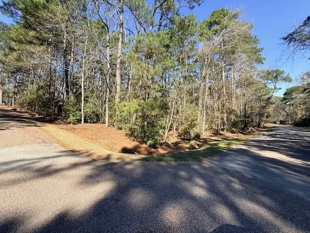 2 Helena Court Coldspring, TX 77331
