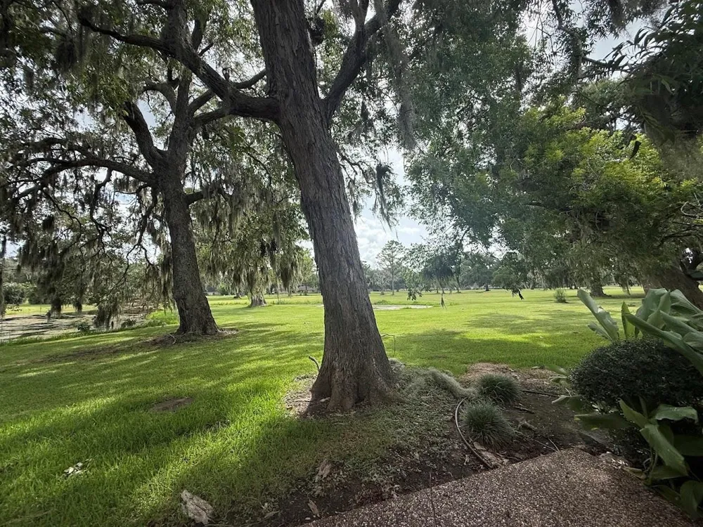 1858 Veranda Drive West Columbia, TX 77486