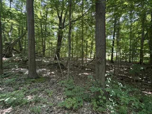 Frankfort Highway Crystal Lake Township, MI 49635