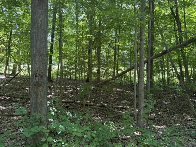 Frankfort Highway Crystal Lake Township, MI 49635