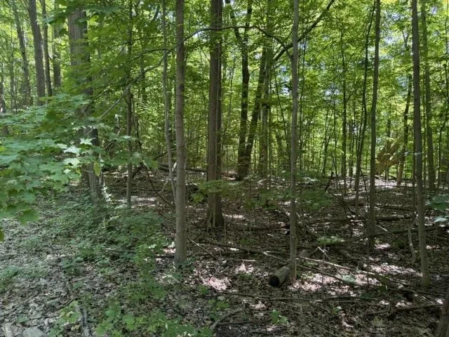 Frankfort Highway Crystal Lake Township, MI 49635