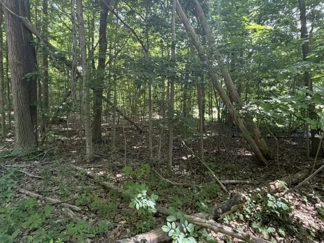Frankfort Highway Crystal Lake Township, MI 49635