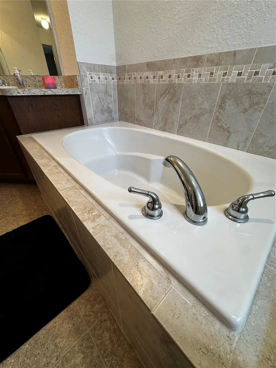 262 LAKE MARIANA PLACE Auburndale, FL 33823