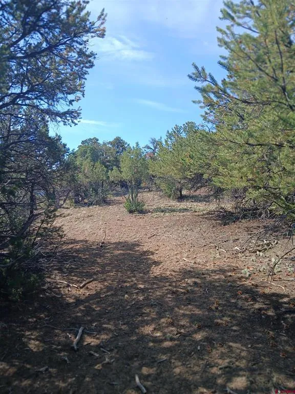 555 Aspen Road South Fork, CO 81154