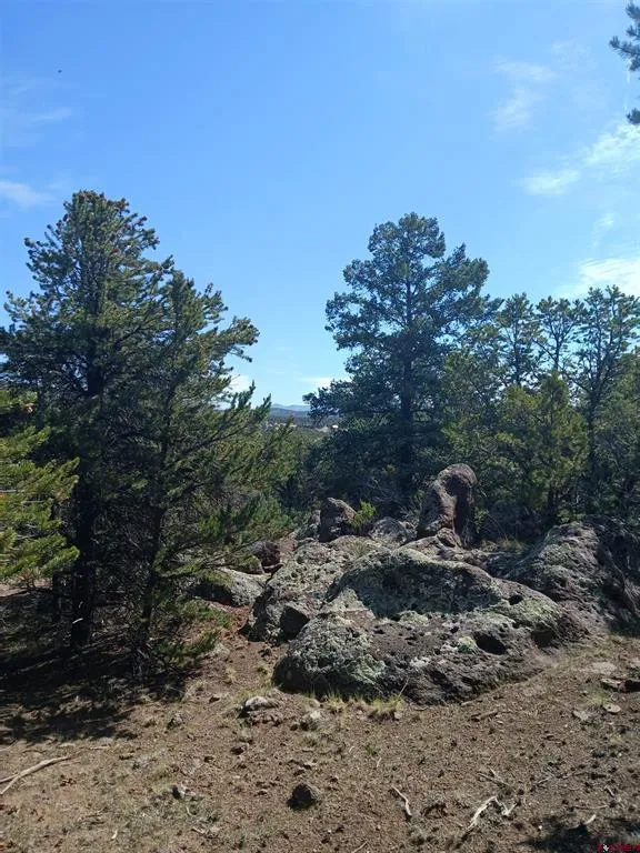 555 Aspen Road South Fork, CO 81154
