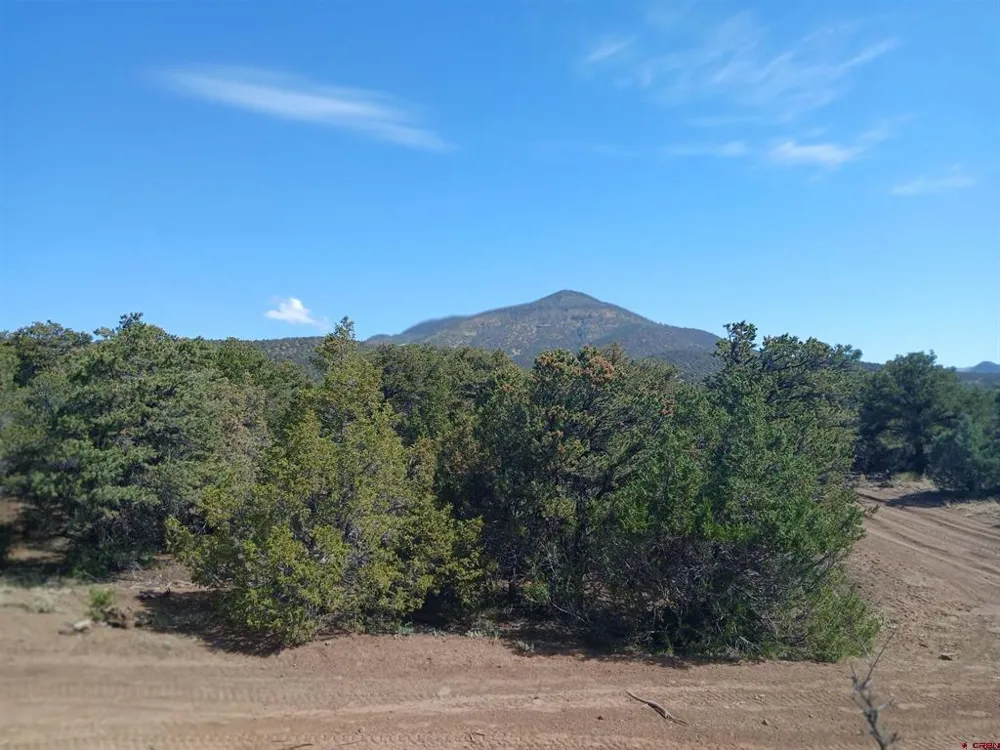 555 Aspen Road South Fork, CO 81154