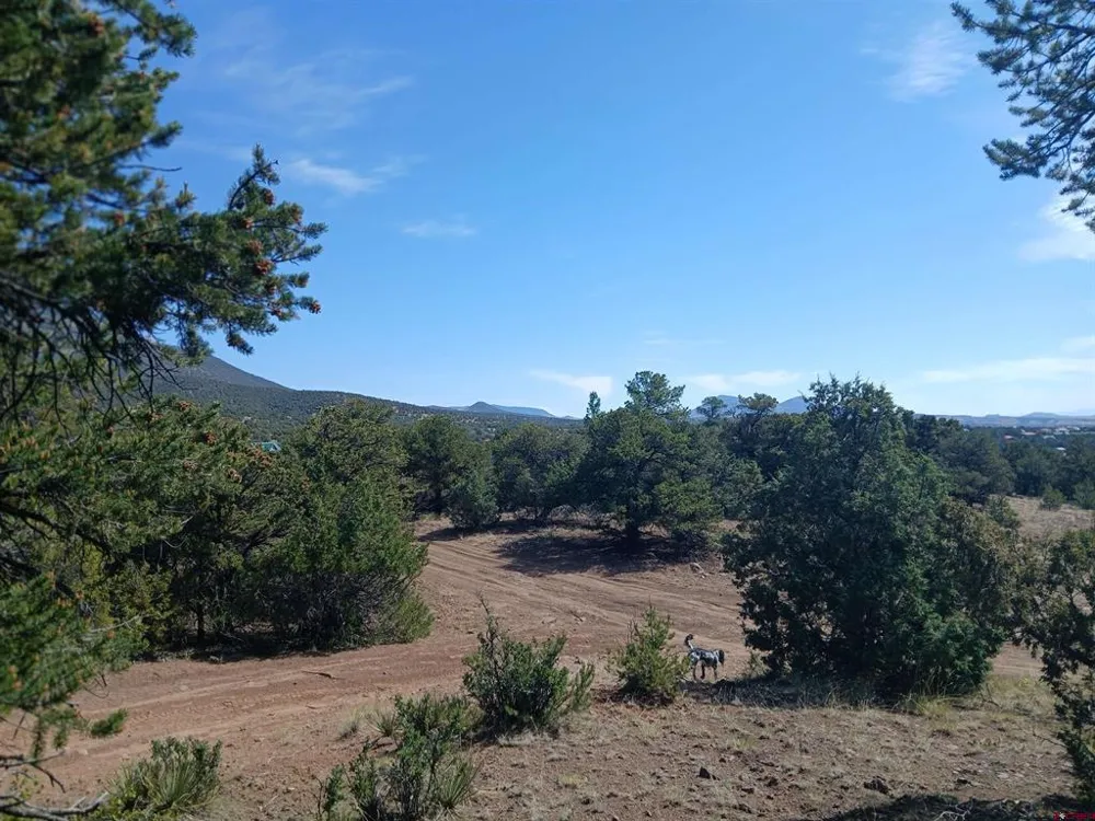 555 Aspen Road South Fork, CO 81154