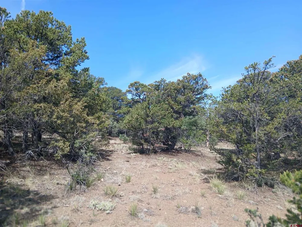 555 Aspen Road South Fork, CO 81154