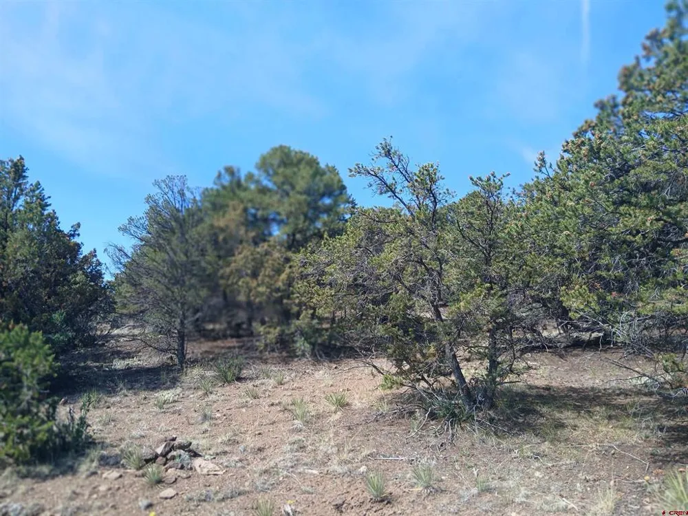 555 Aspen Road South Fork, CO 81154
