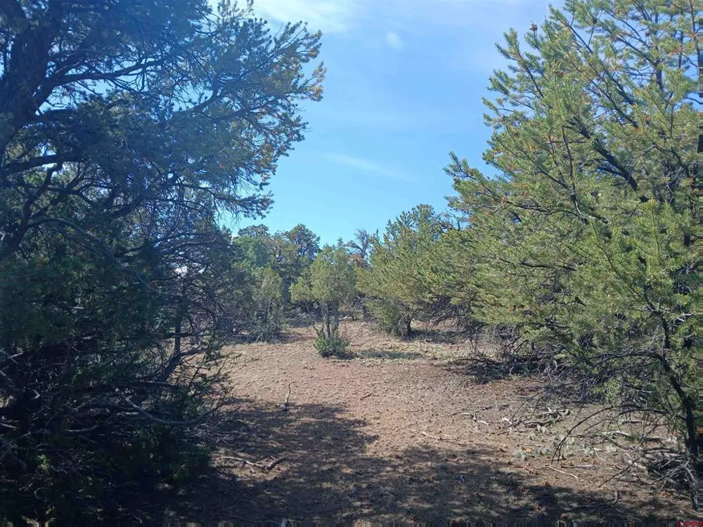555 Aspen Road South Fork, CO 81154