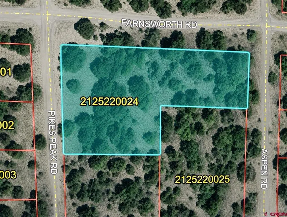 555 Aspen Road South Fork, CO 81154