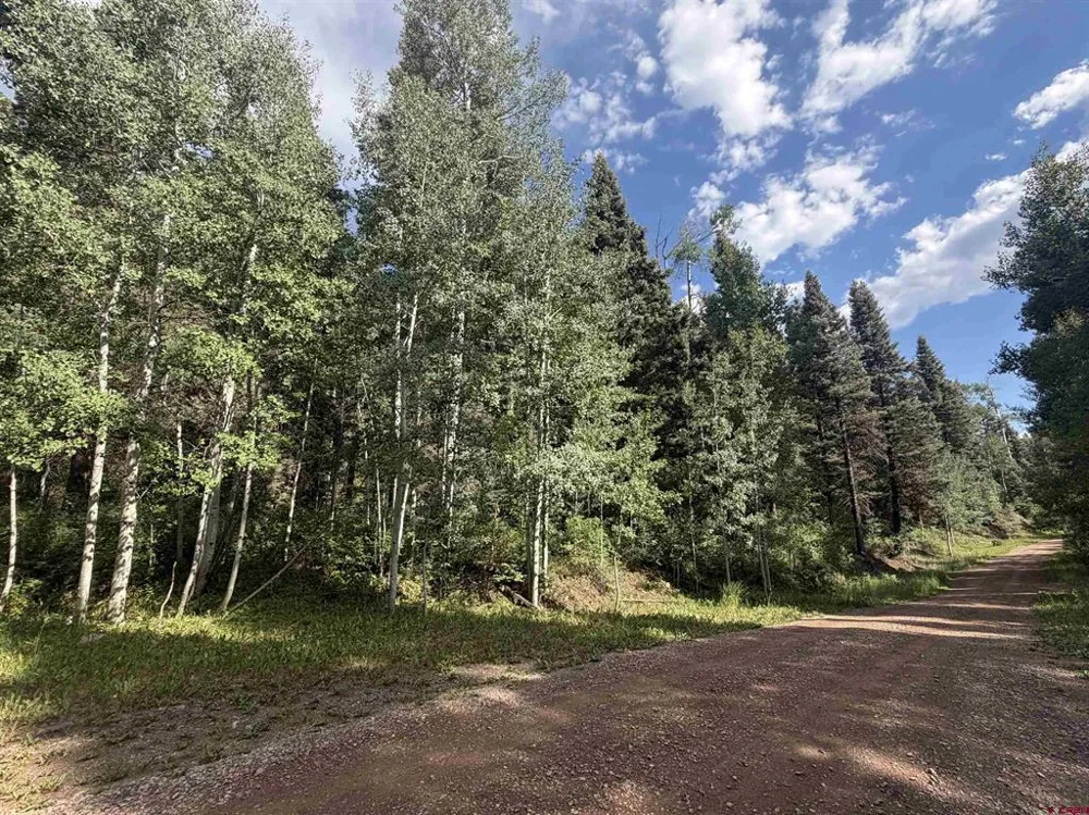 454 McCoy Creek Durango, CO 81301