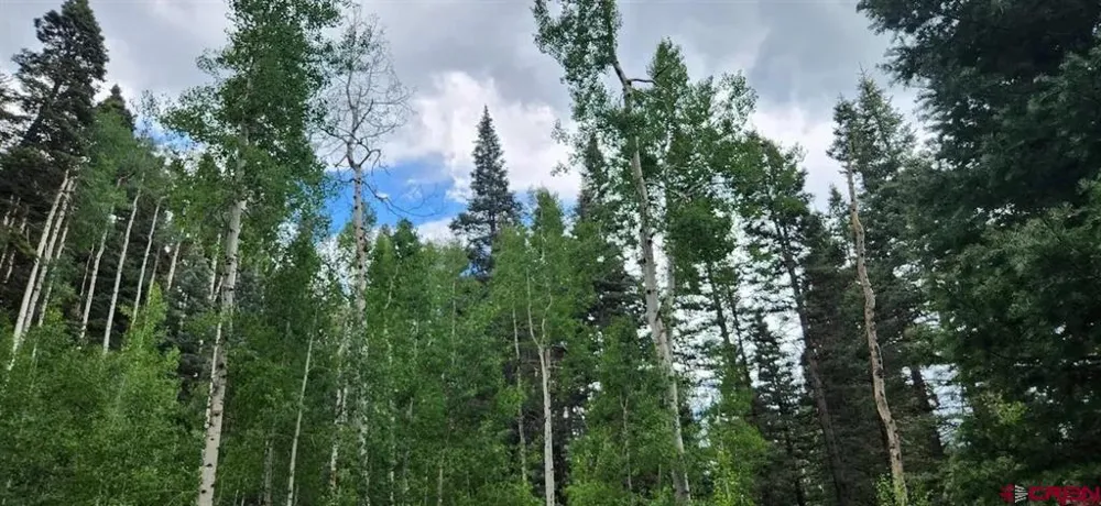 454 McCoy Creek Durango, CO 81301
