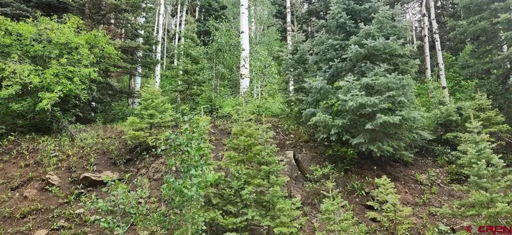 454 McCoy Creek Durango, CO 81301