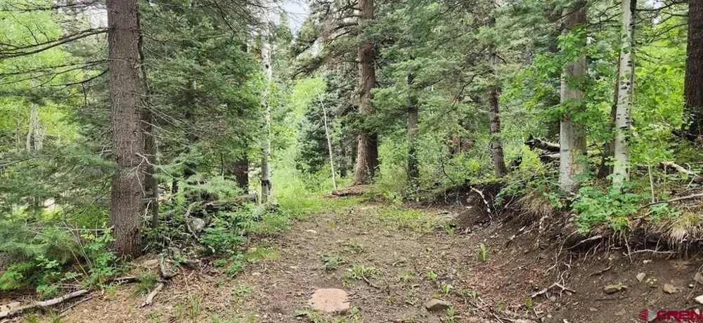 454 McCoy Creek Durango, CO 81301