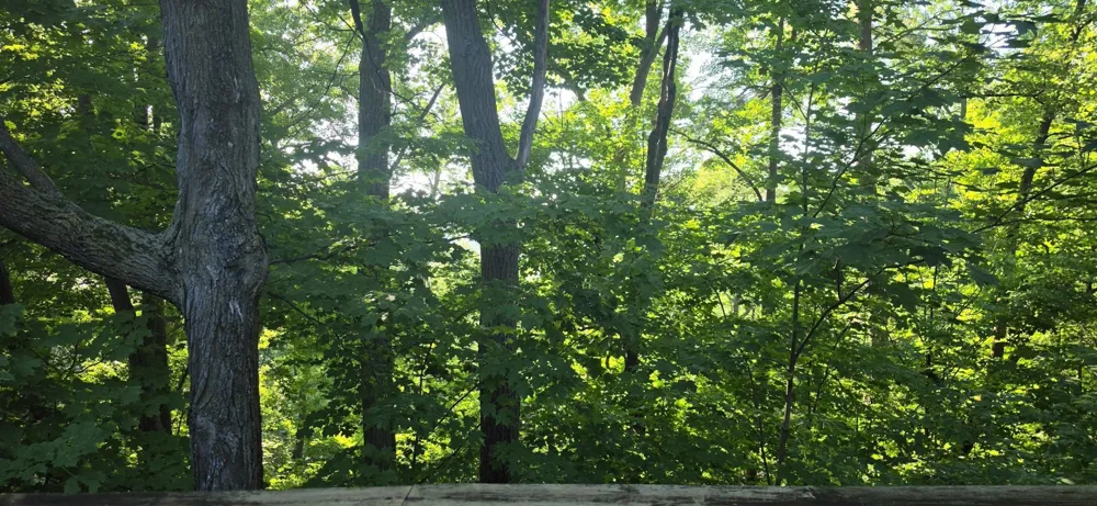 30494 White Pine Circle Cushing, MN 56443
