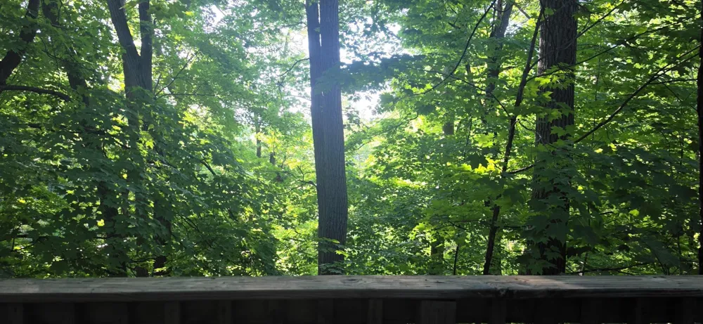 30494 White Pine Circle Cushing, MN 56443