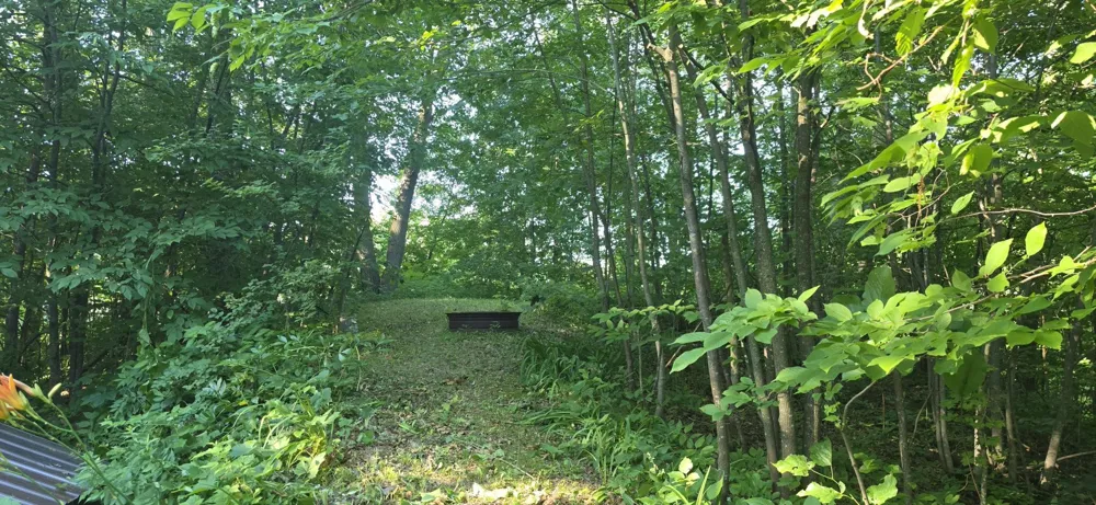 30494 White Pine Circle Cushing, MN 56443