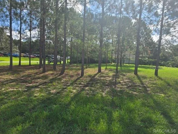 2590 BRENTWOOD CIRCLE Lecanto, FL 34461