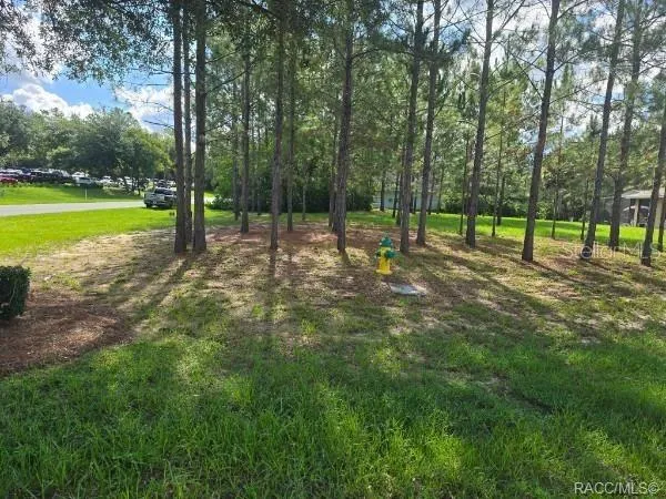 2590 BRENTWOOD CIRCLE Lecanto, FL 34461