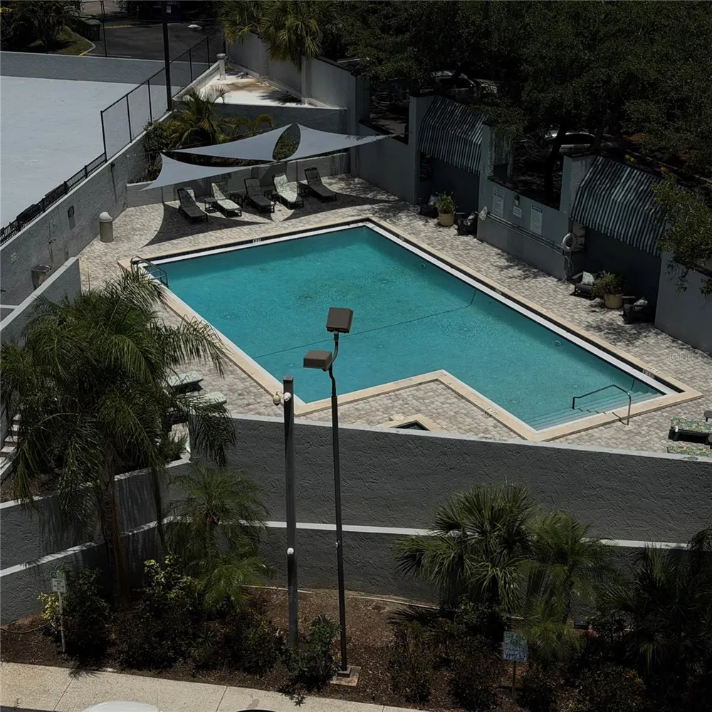 201 W LAUREL STREET #703 Tampa, FL 33602