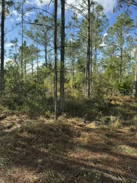 TBD Frostproof, FL 33843