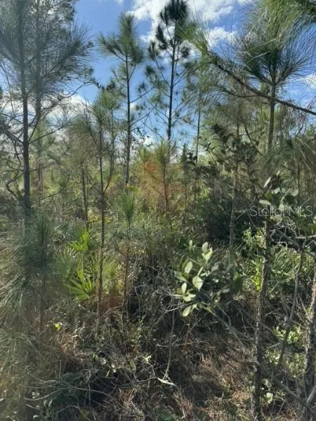 TBD Frostproof, FL 33843