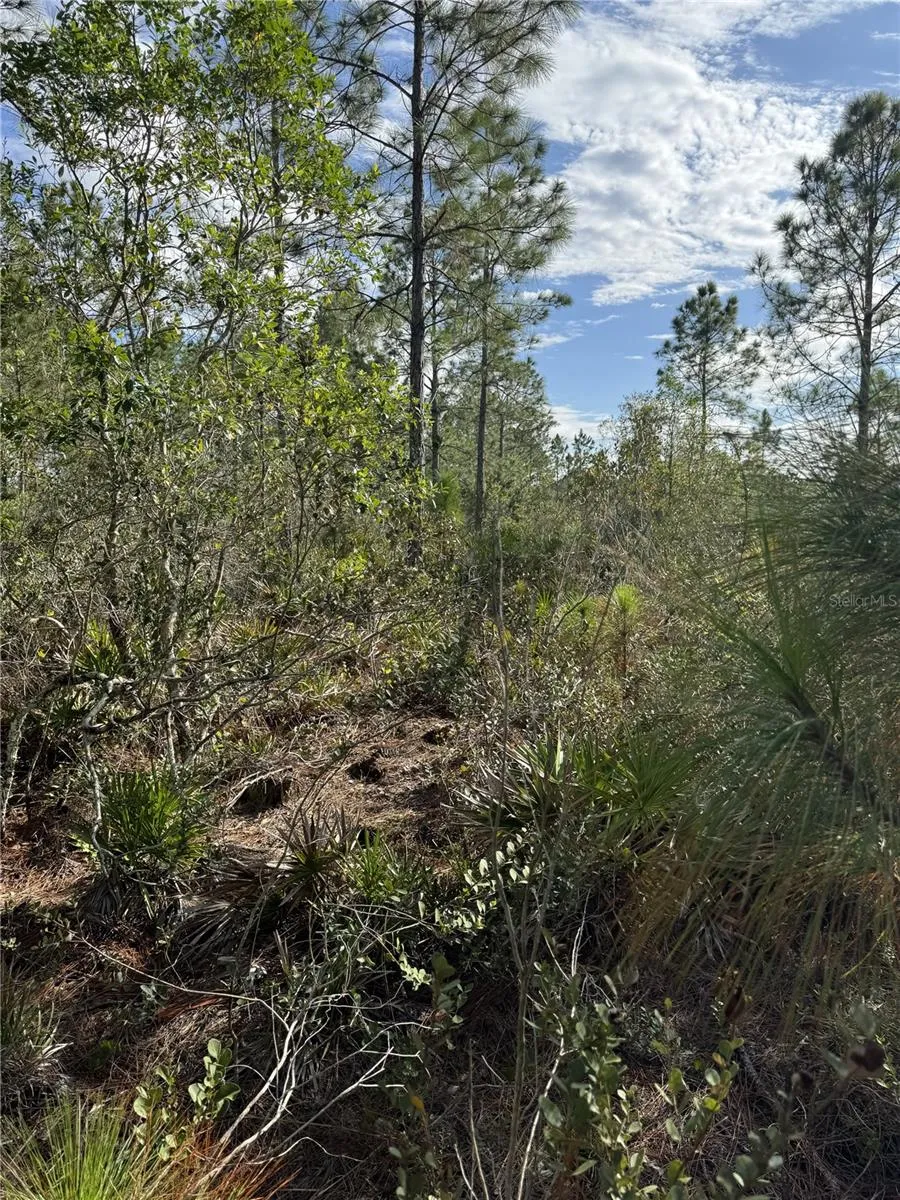 TBD Frostproof, FL 33843