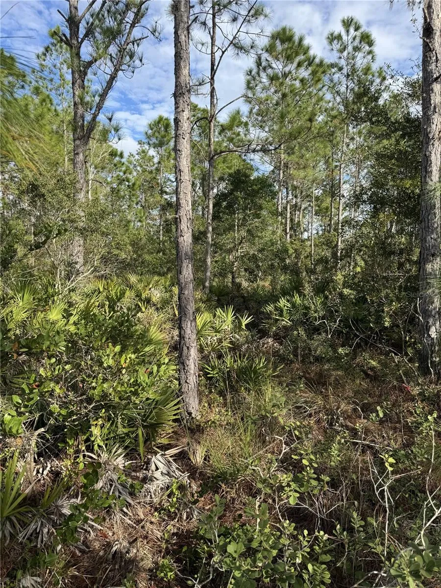 TBD Frostproof, FL 33843