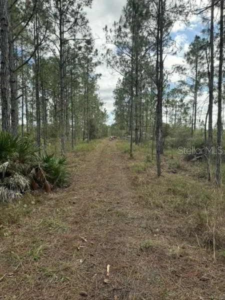 TBD Frostproof, FL 33843