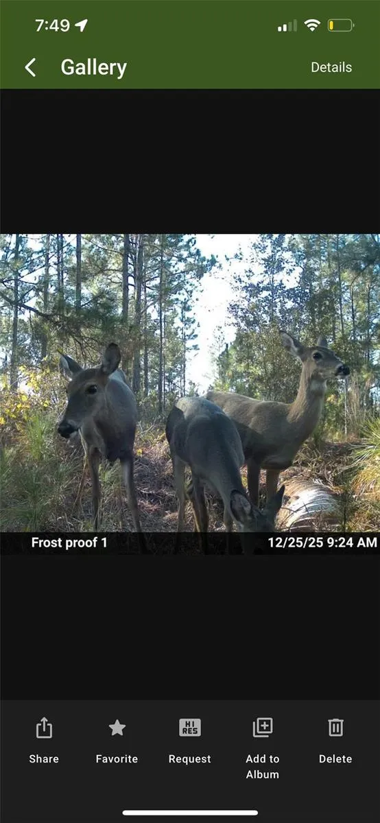 TBD Frostproof, FL 33843
