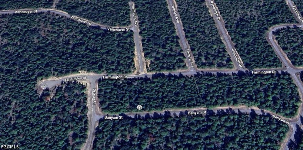 Banyam Street Chipley, FL 32428