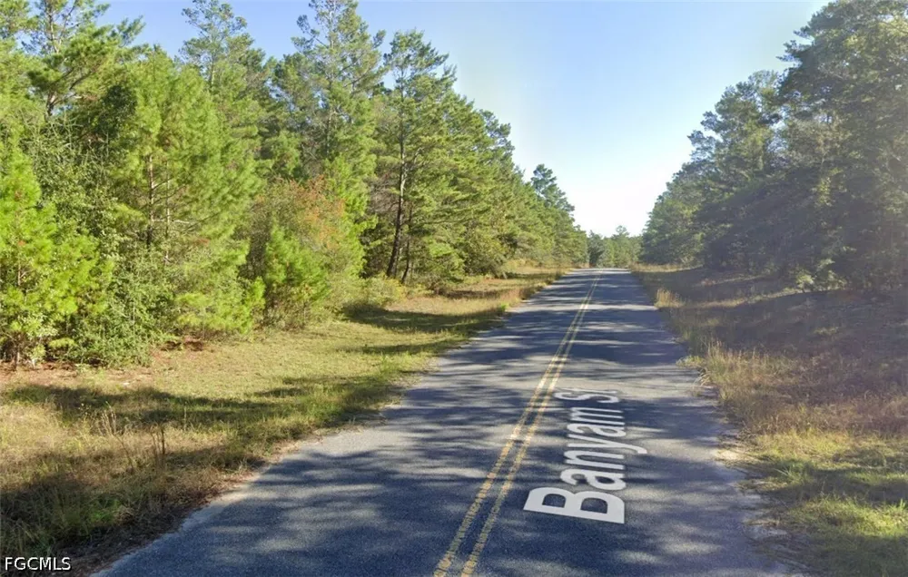 Banyam Street Chipley, FL 32428