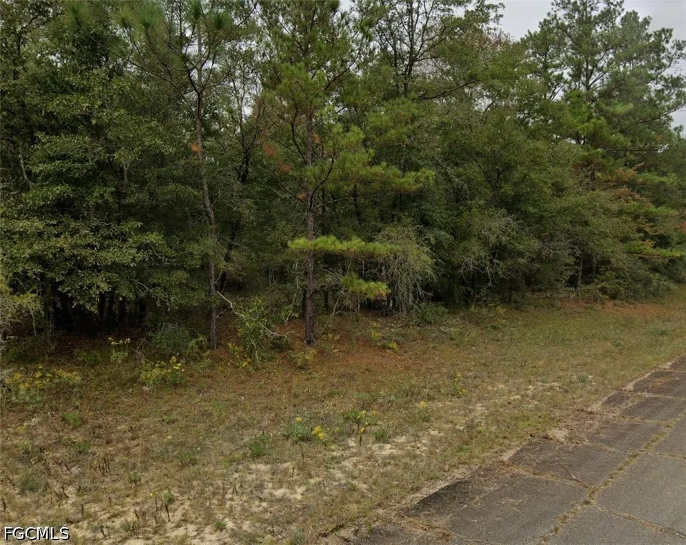 Darlington Drive Chipley, FL 32428