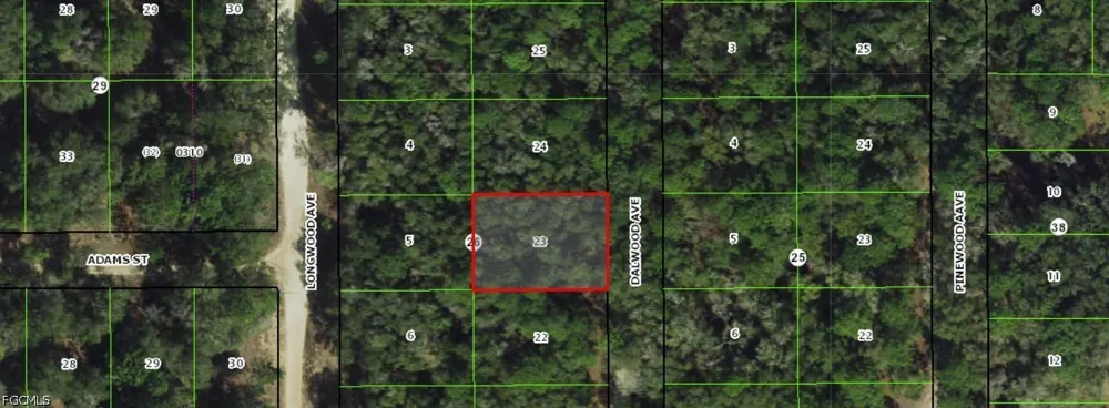 Dalwood Avenue Inverness, FL 34453