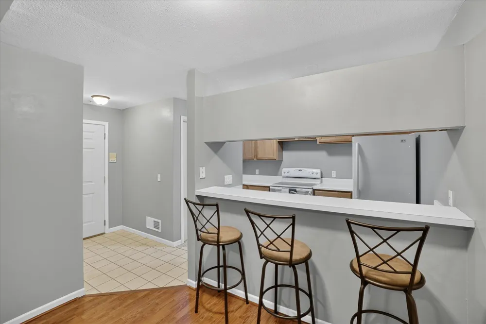 609 Curzon Court #203 Howell City, MI 48843