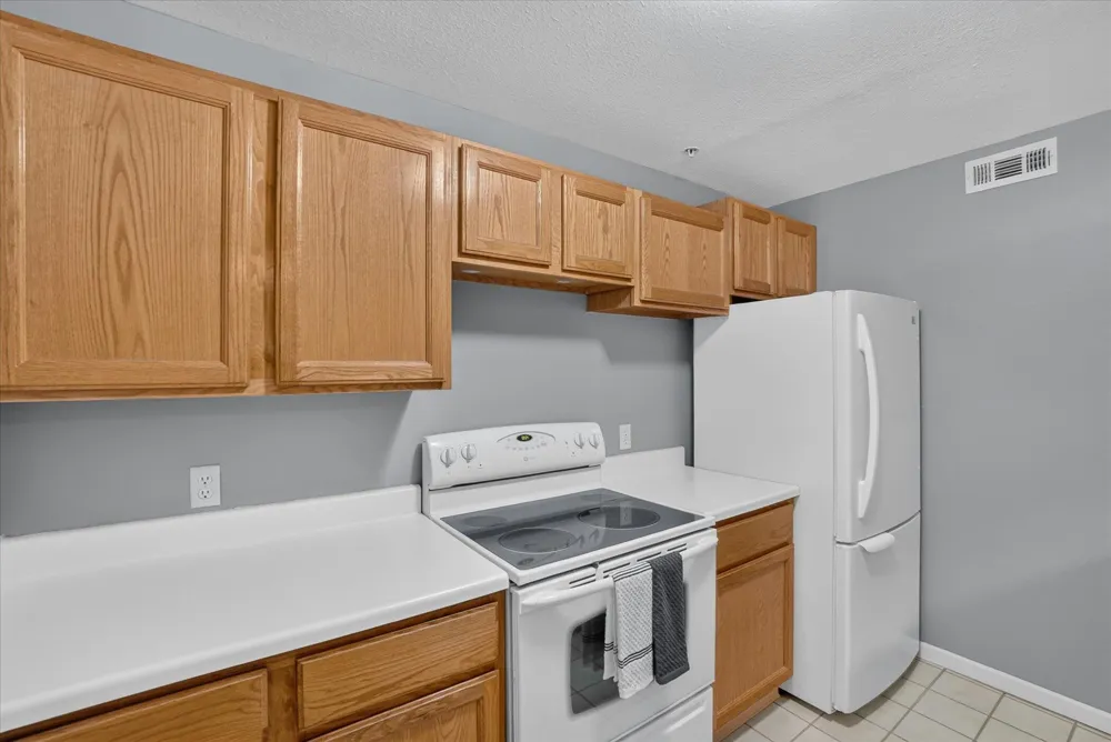 609 Curzon Court #203 Howell City, MI 48843