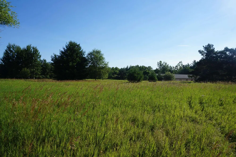 Tawas Road Reno Township, MI 48770