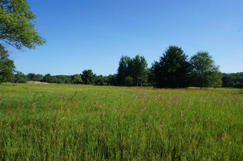 Tawas Road Reno Township, MI 48770