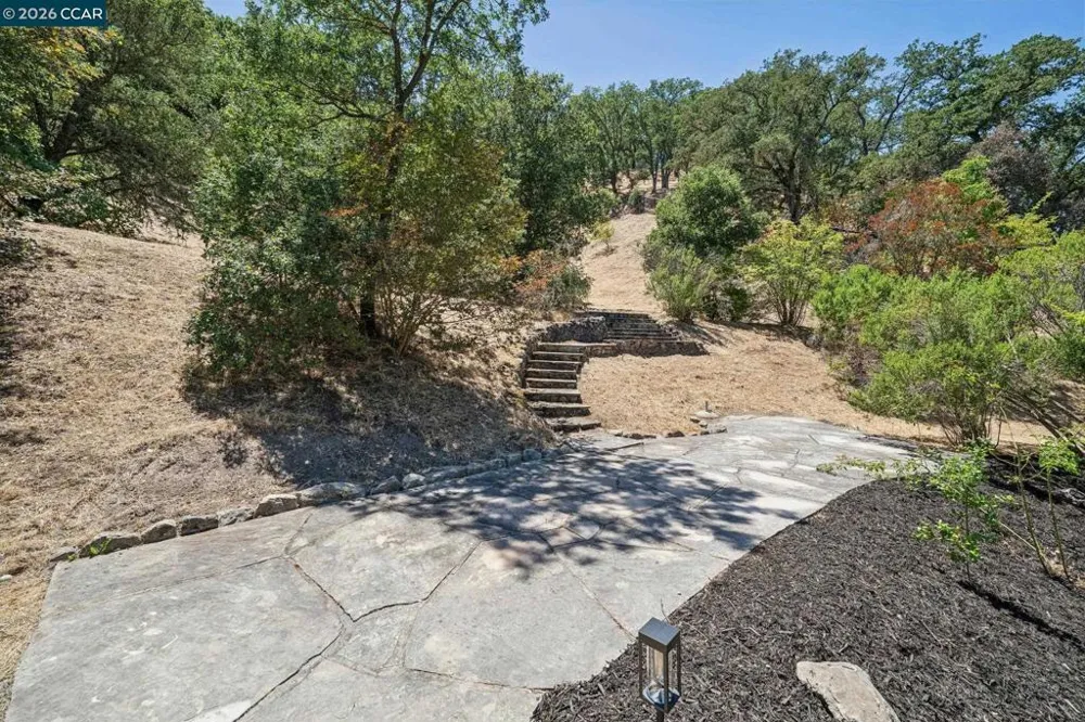 136 Lark Court Alamo, CA 94507