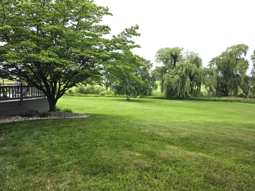 7290 Wingeier Avenue SE Bowne Township, MI 49302