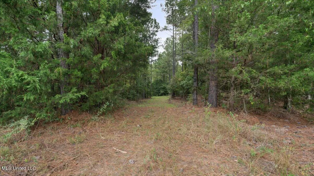 1270 Hwy 469 Pearl, MS 39208