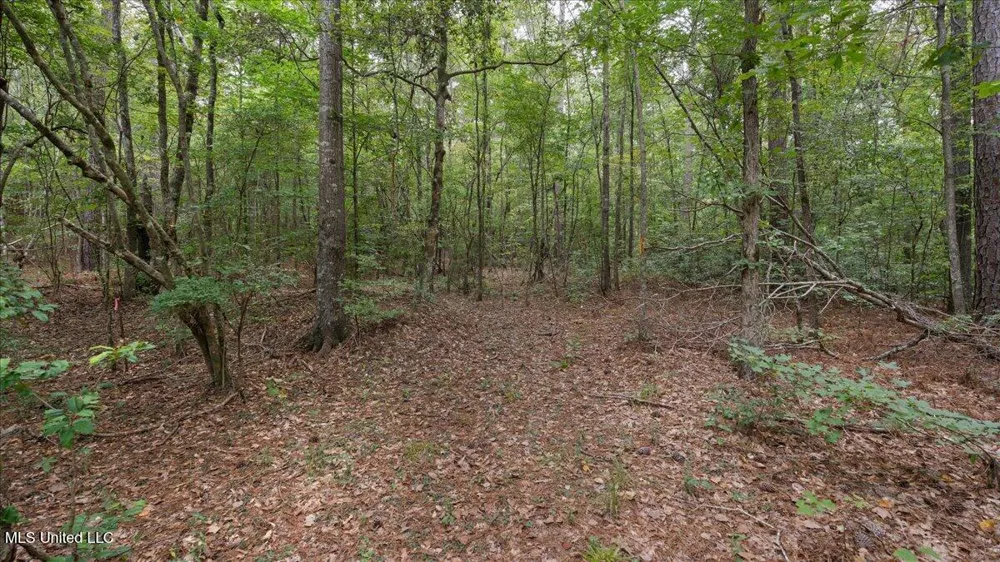 1270 Hwy 469 Pearl, MS 39208