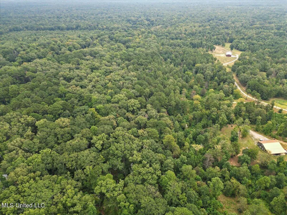 1270 Hwy 469 Pearl, MS 39208