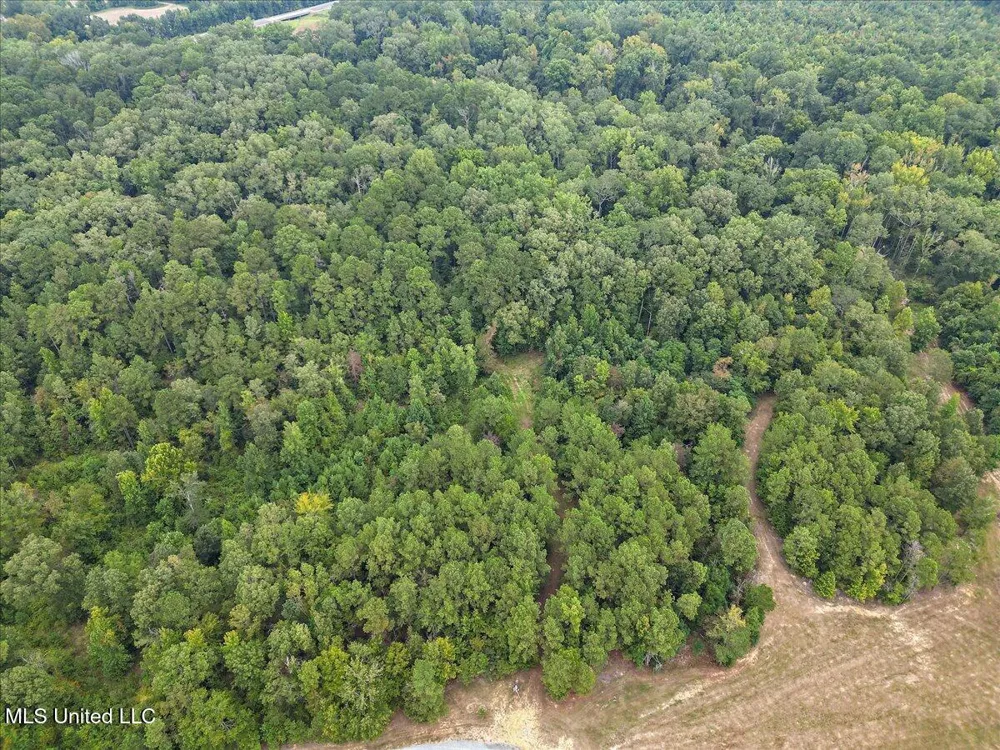 1270 Hwy 469 Pearl, MS 39208