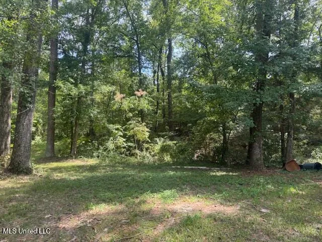 1270 Hwy 469 Pearl, MS 39208