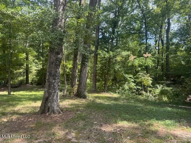 1270 Hwy 469 Pearl, MS 39208