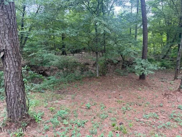1270 Hwy 469 Pearl, MS 39208